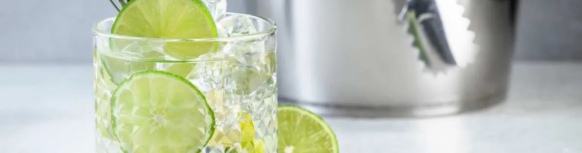 I Migliori Gin per Qualità Prezzo: La Classifica dei Migliori Gin al Mondo e Migliori Gin per Cocktail