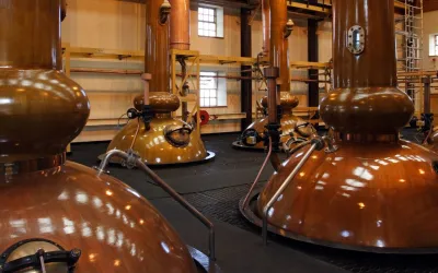 Processo di Produzione del Whisky