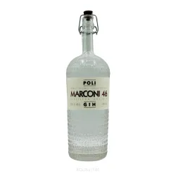 Poli Dry Gin Marconi 46 