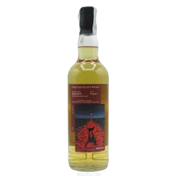 Ruadh Mhor 11 Year Old