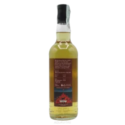 Ruadh Mhor 11 Year Old